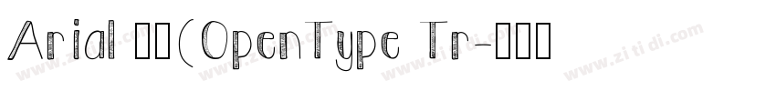 Arial 常规(OpenType Tr字体转换